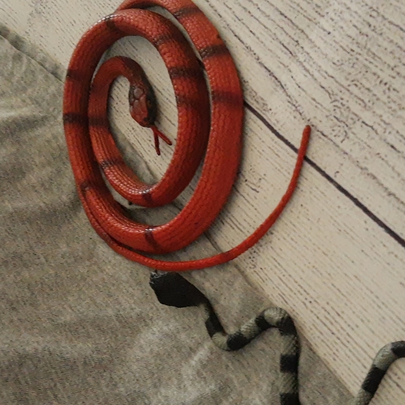 BugsT 3D Lizard Tee, Book, Toy - Picture 7 of 16